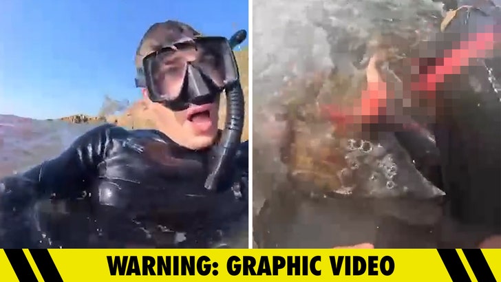 121223_shark_attack_kal