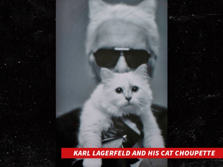 karl lagerfeld cat Choupette getty
