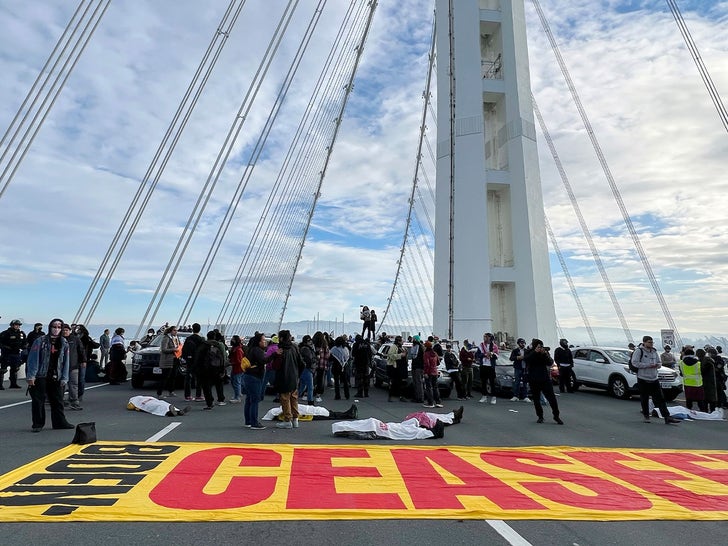 1116-Bay-Bridge-Protest-SUB-2