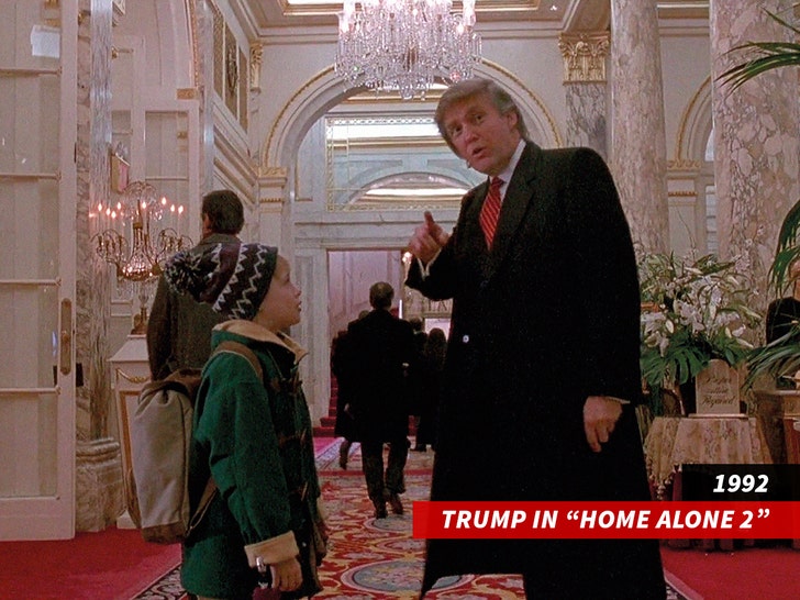 donald trump home alone