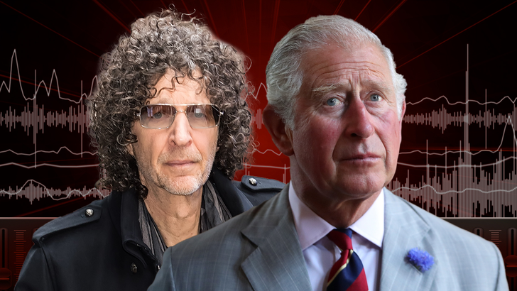 99d2f79298af43149212e4e95f275314_md howard-stern-audio-1