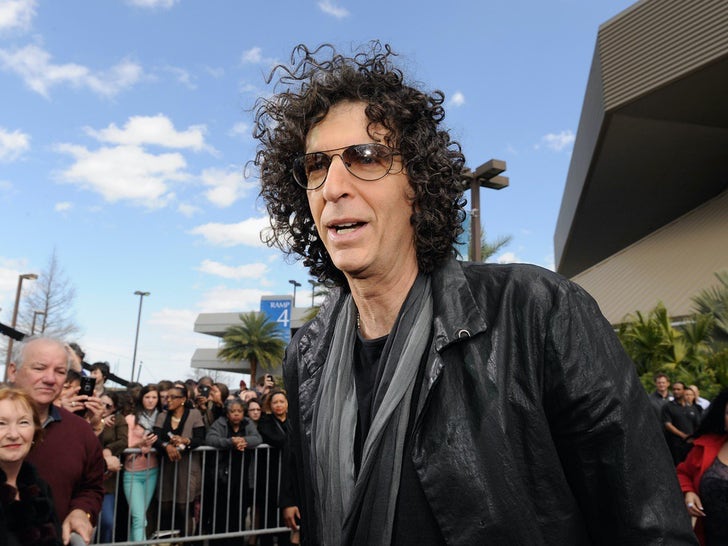 Howard Stern Through The Years