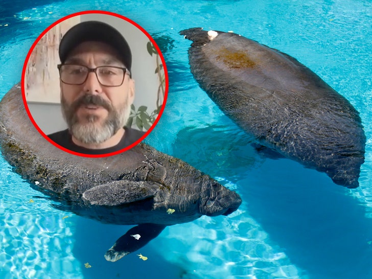 manatees Phil Demers