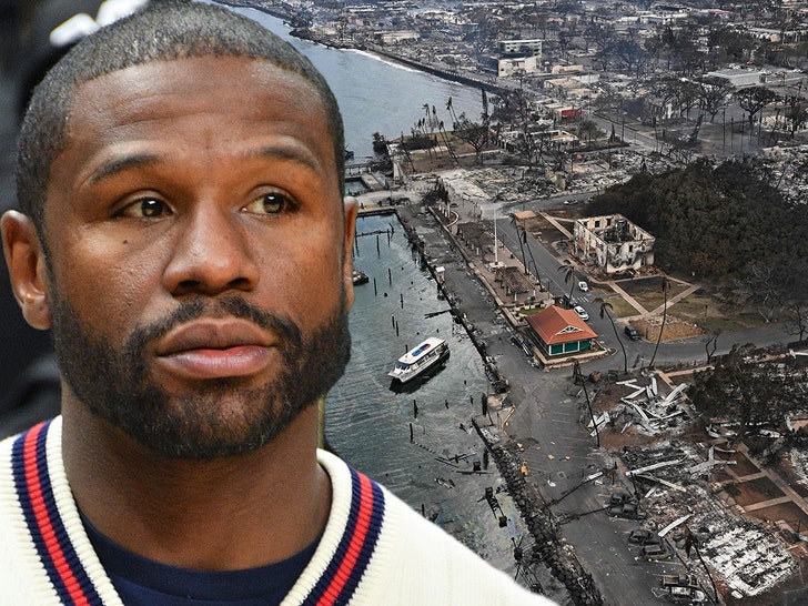 9c210eee96ec49429859bedaefeef2c5_md 0810 floyd mayweather hawaii getty comp