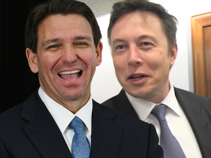9c8e4054abf649f99d75946681d0d18e_md Elon desantis elon musk