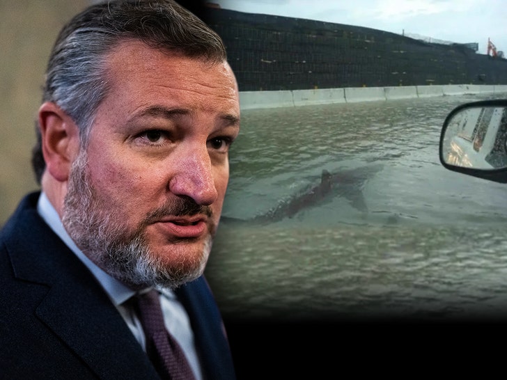 ted cruz getty shark