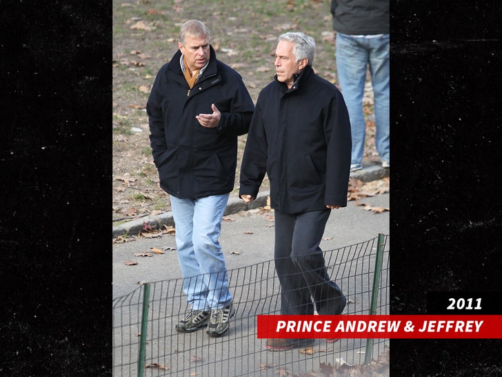 prince andrew jeffrey epstein