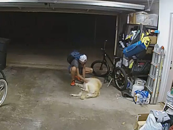 080523-bike-thief-dog-pets-primary-v3