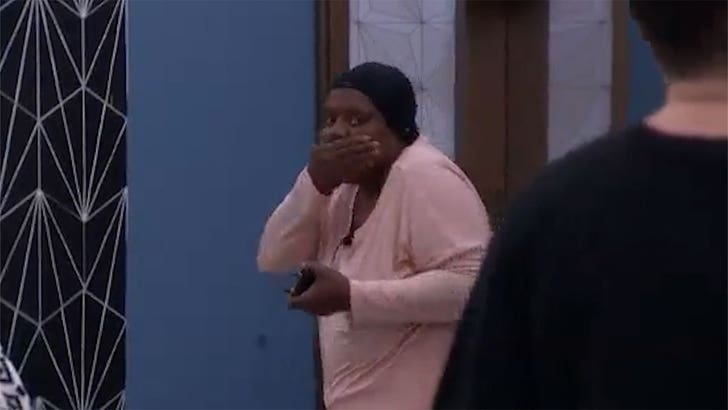 080323-big-brother-sub-2-kal