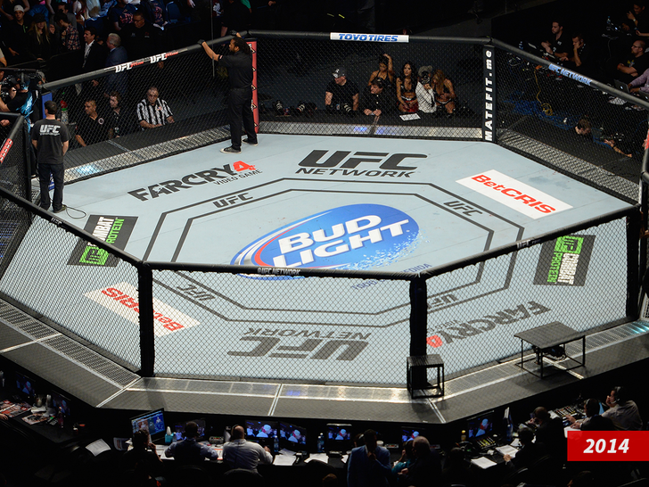 bud light ufc 2014