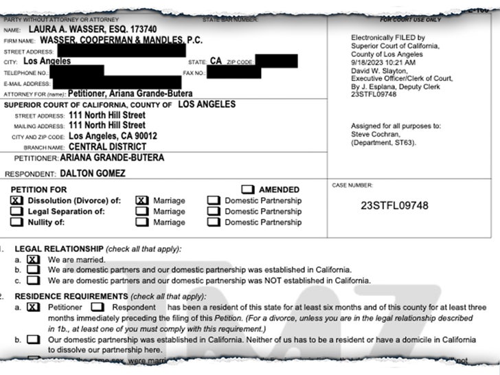 Ariana's petition of divorce