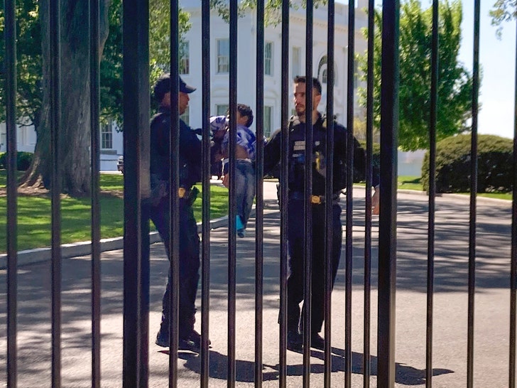 a87ab871da8a42c69aba7de7bfdab86b_md toddler secret service