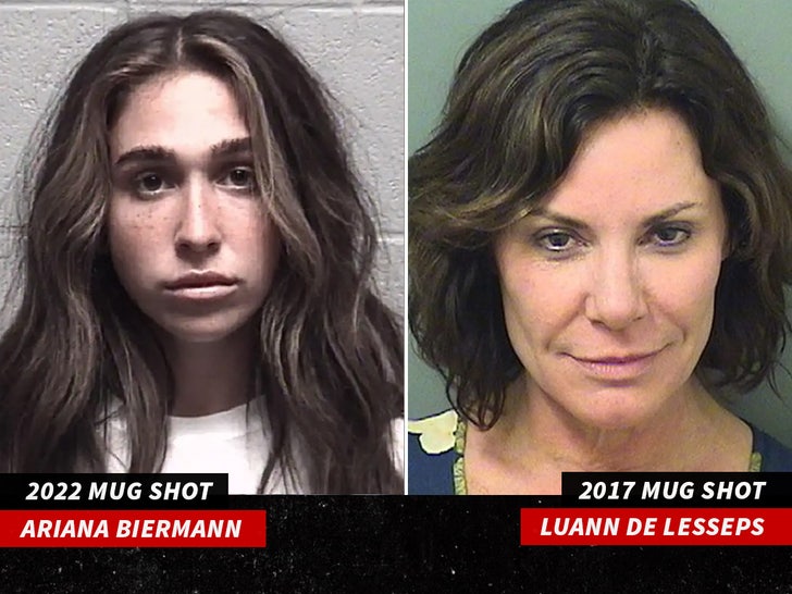 Ariana Biermann luanna desepps mug