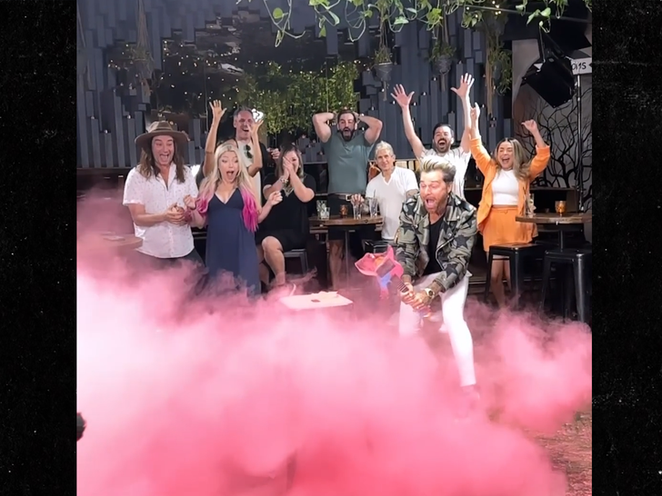 alexa bliss gender reveal