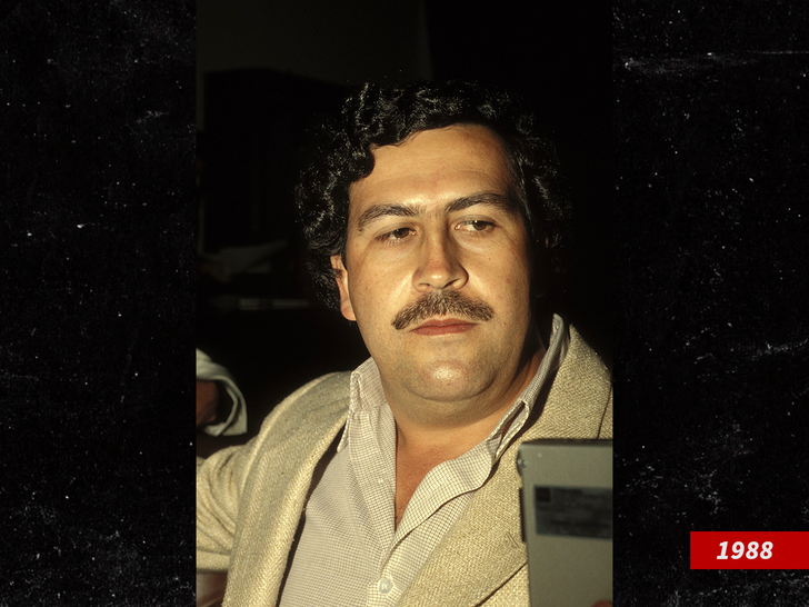 abfb34defba74ce5aa3102b672ea0960_md Pablo Escobar