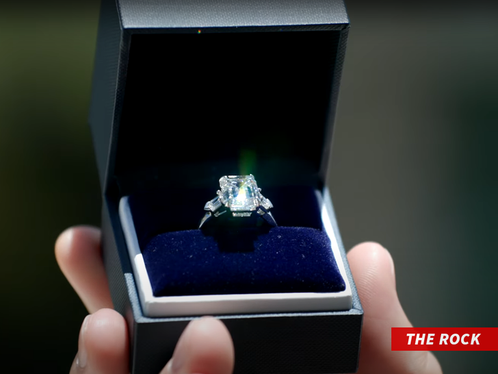 logan paul proposal the roc