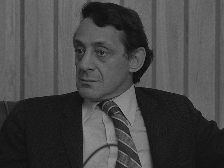 Remembering Harvey Milk