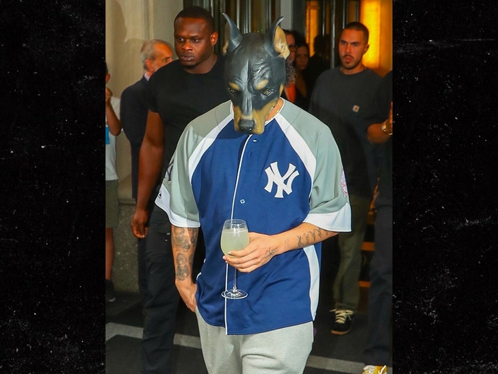 acd1c61afed2412c8c83325e4c6b3229_md drake