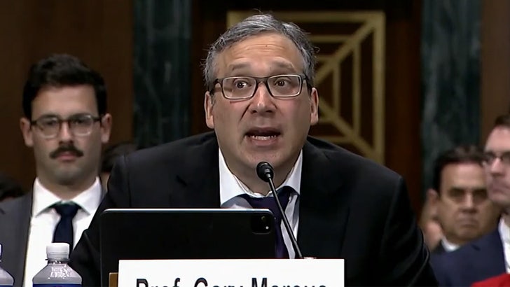 051723_gary_marcus_senate