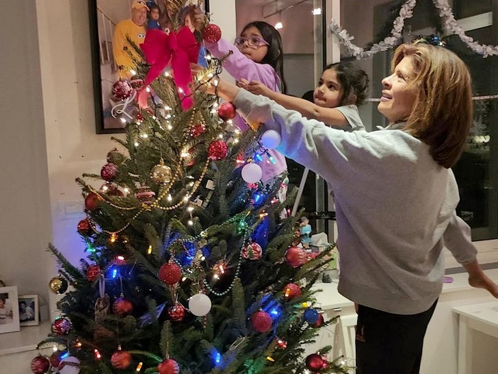 1213-Christmas-Trees-2023-Sub2