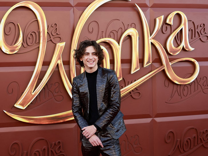 Timothee Chalamet wonka premiere getty 1