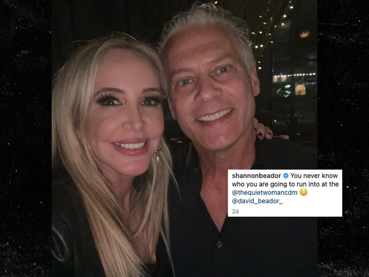 shannon beador and david beador insta