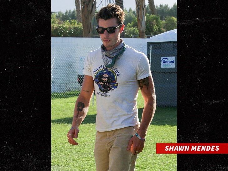 b0e165babd834247a3c89f00b49e9790_md shawn mendes