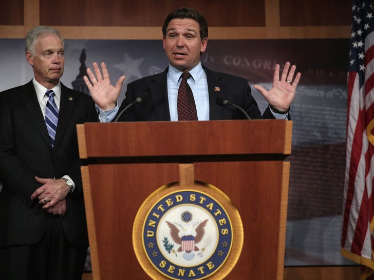 Ron DeSantis Political Pics