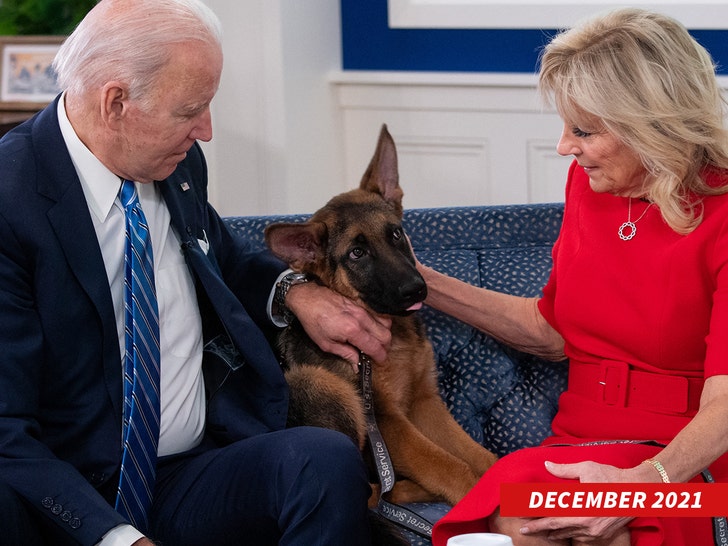 joe biden and dog getty 1