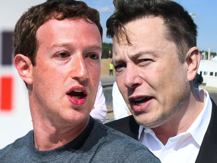 mark zuckerberg elon musk