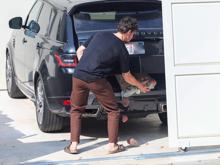 shawn mendes groceries bg 1