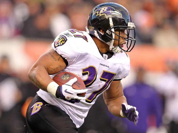 Ray Rice -- On the Field