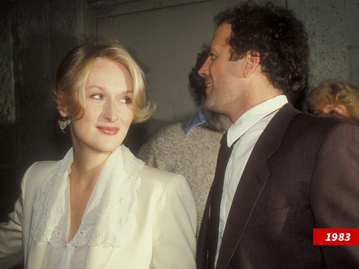 1021 Meryl Streep Don Gummer getty sub