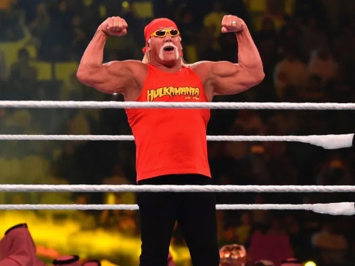 Hulk Hogan Wrestling ... Hulkmania Era