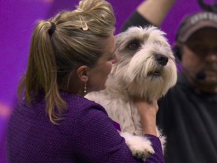 051023-best-in-show-buddyholly-primary-v1