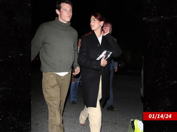 dua lipa callum turner