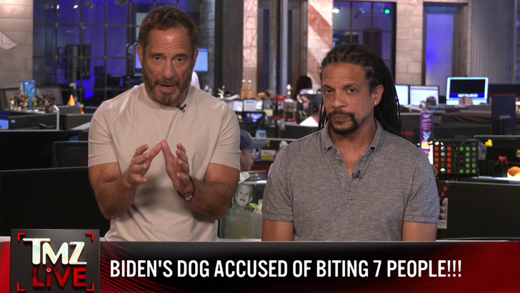 harvey charles biden dog