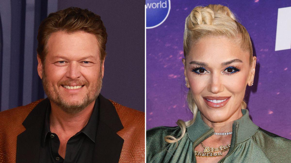 Insiders said separate careers, including Shelton's touring and Stefani's work with No Doubt, contributed to strain in their marriage.