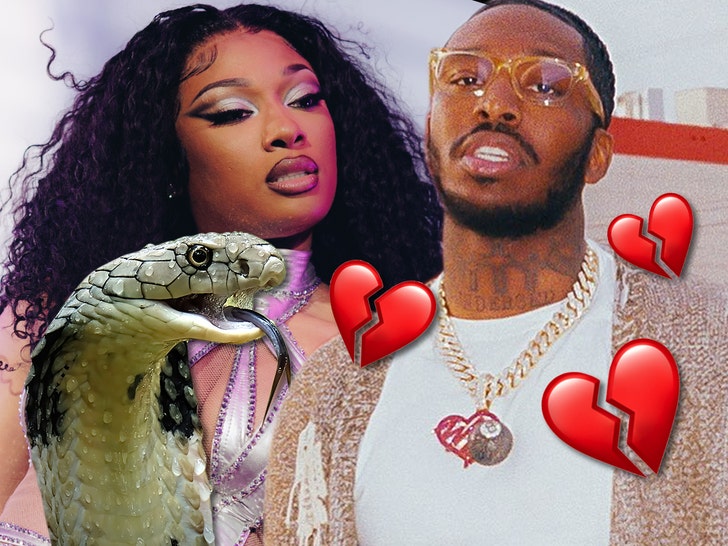 megan thee stallion and Pardison Fontaine getty insta