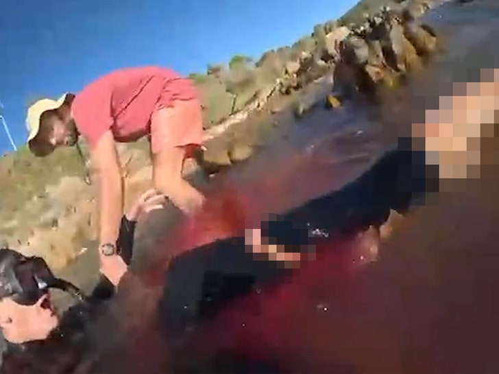 121223-shark-attack-foot-primary