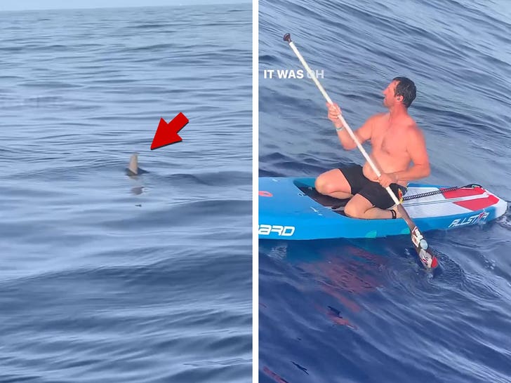 063023-paddle-board-shark-3