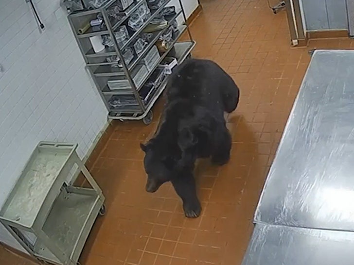 102723-bear-attack-walk-primary-v1