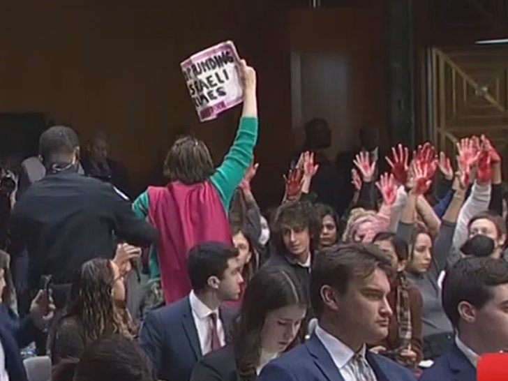 103123-congress-protesters-signs-primary-v4