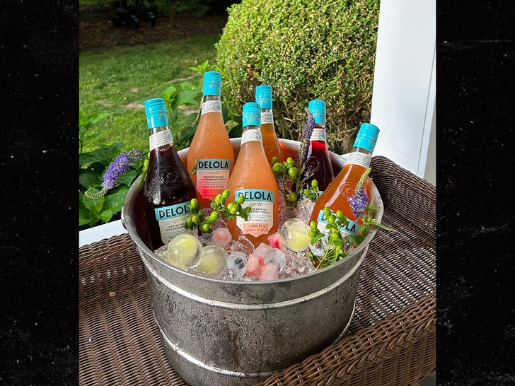 cba010a2820f489d8aab56f3c1488f09_md Delola