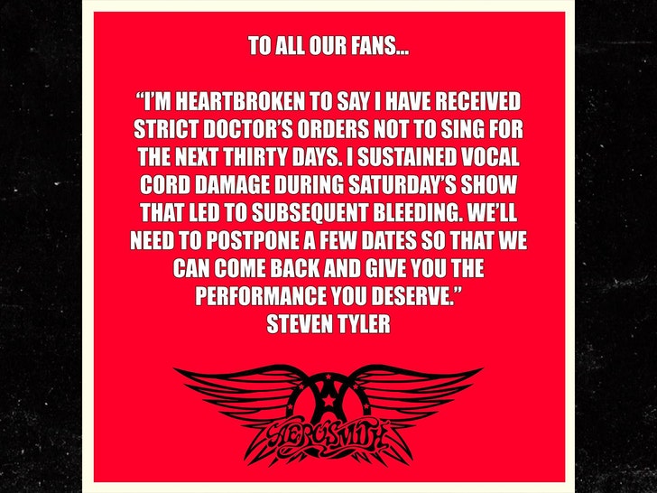 steven tyler aerosmith insta 1