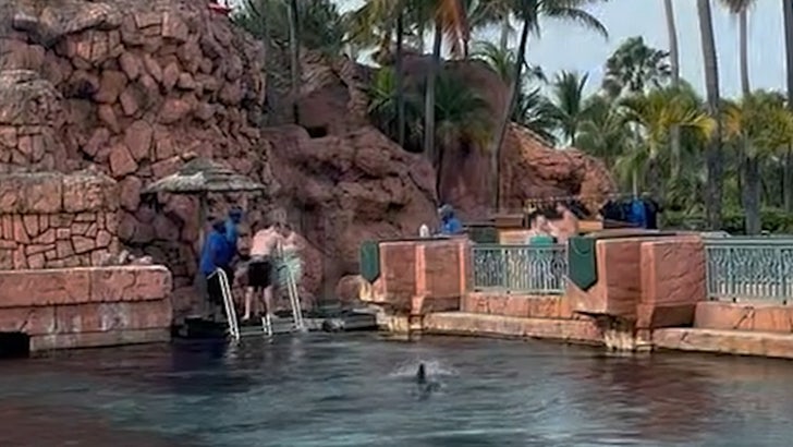 011824_shark_attack-kal