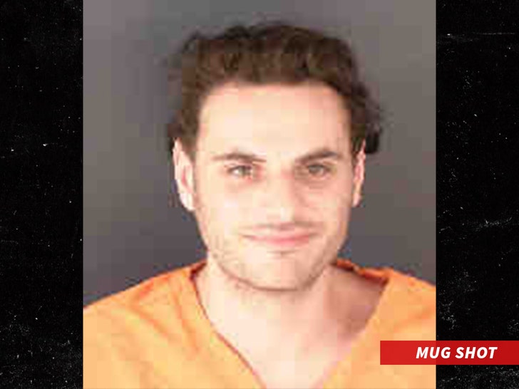 d5e74497115d4c83b10c6b6e416c3538_md Pauly Paul Mugshot