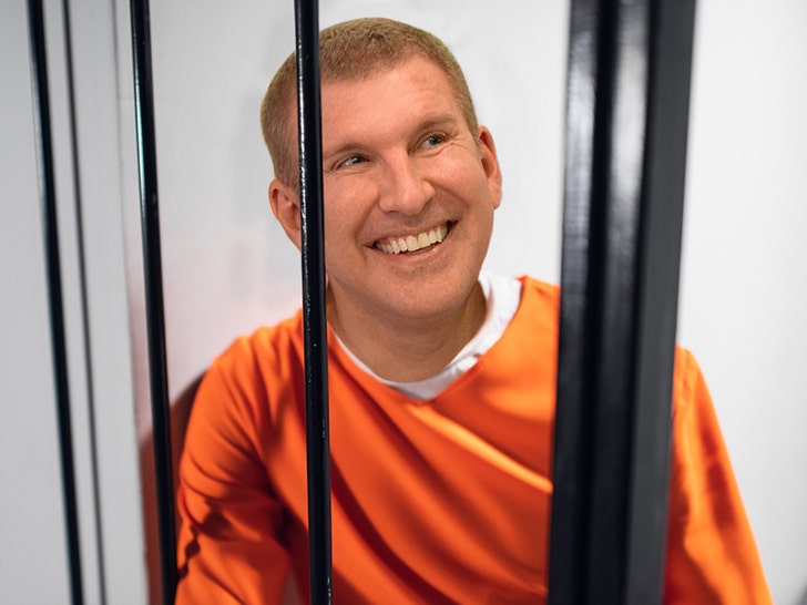 todd chrisley in prison fun art tmz getty 1