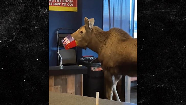 042523_movie_theater_moose_kal