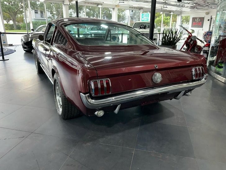 d7064dd265414b74a1b31b43347c873c_md 0119-Julia-Lemigova-mustang-for-sale-photos-primary-3